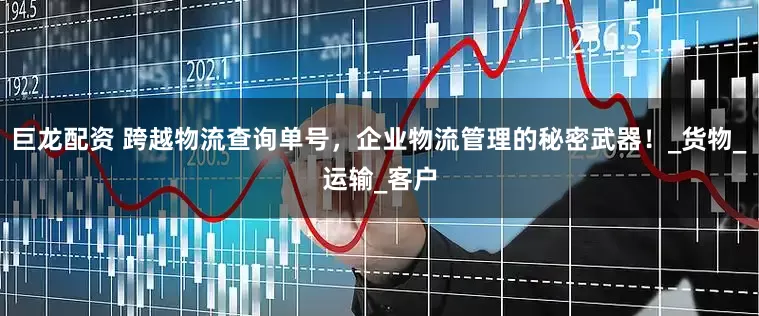 巨龙配资 跨越物流查询单号，企业物流管理的秘密武器！_货物_运输_客户