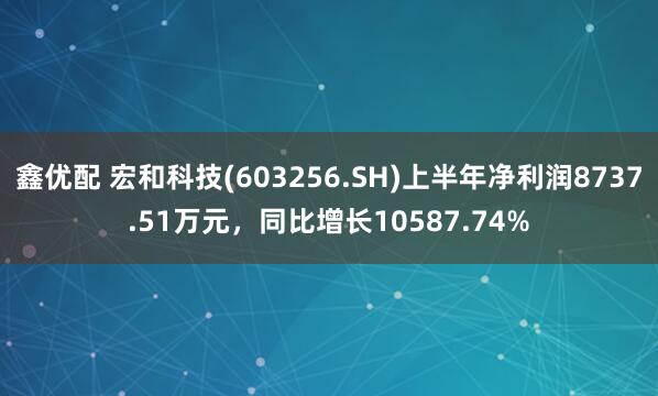 鑫优配 宏和科技(603256.SH)上半年净利润8737.51万元，同比增长10587.74%