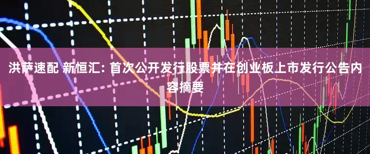 洪萨速配 新恒汇: 首次公开发行股票并在创业板上市发行公告内容摘要